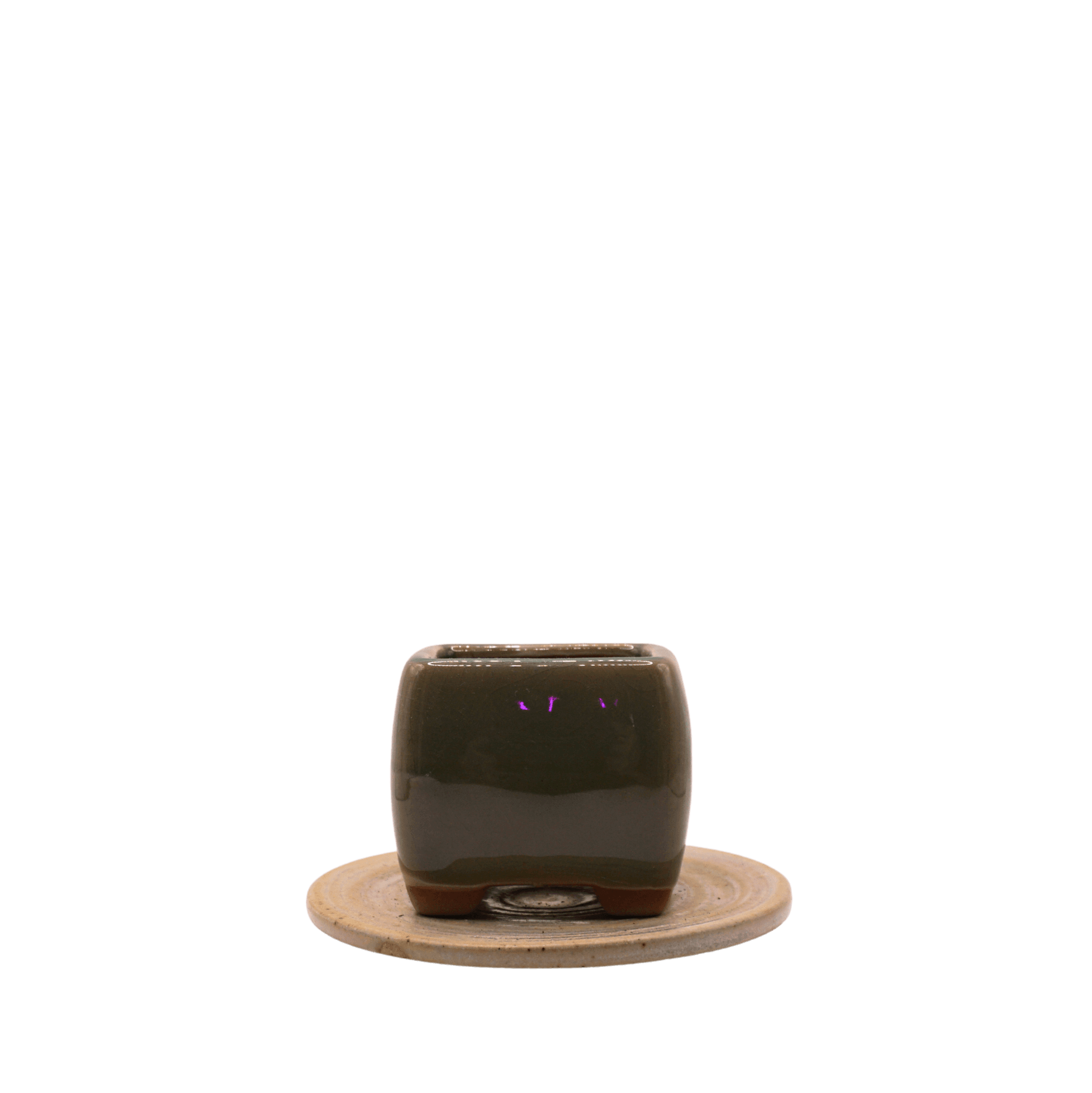 Jade Box Planter - S