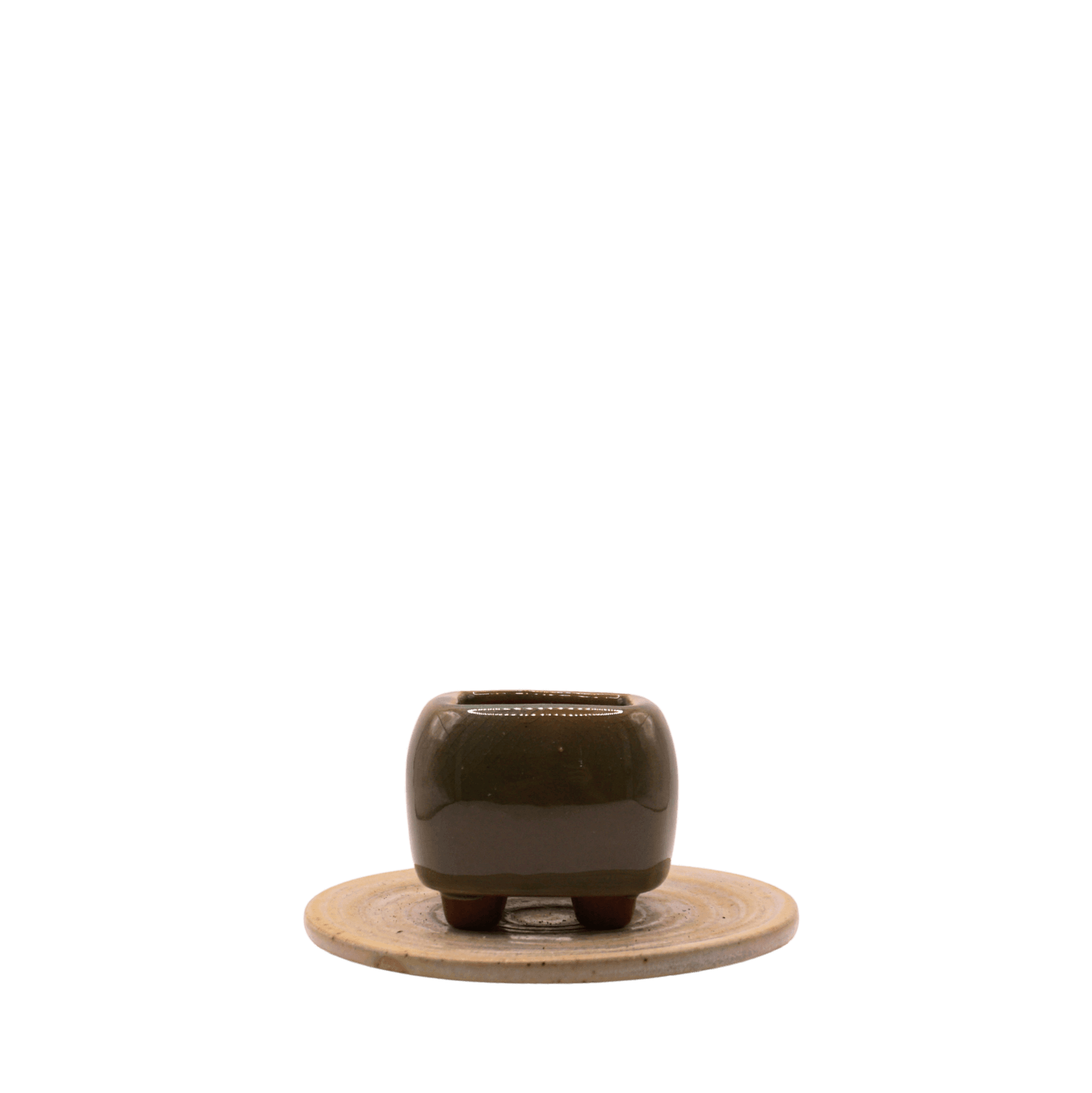 Jade Box Planter - XS