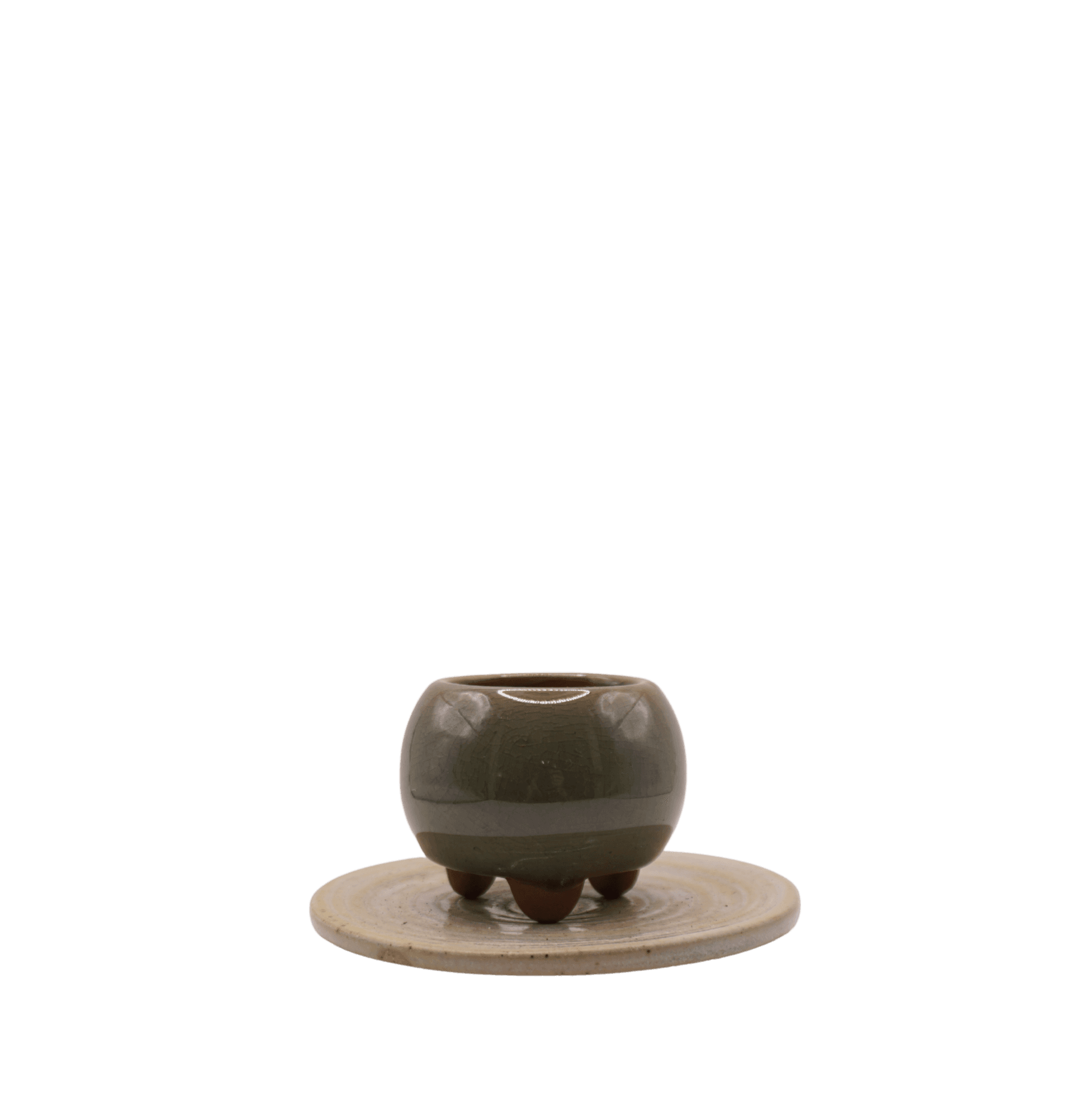 Jade Short Jar Planter - XS
